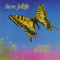Jolliffe Steve - Japanese Butterfly Jolliffe Steve - Japanese Butterfly