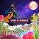 Dom Flemons - Traveling Wildfire Dom Flemons - Traveling Wildfire
