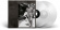 Neil Young & Crazy Horse - World Record (Ltd Indie Color 2LP) Neil Young & Crazy Horse - World Record (Ltd Indie Color 2LP)