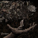 Bound In Fear - Penance Bound In Fear - Penance