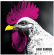Bander Dani - Blackout Bander Dani - Blackout