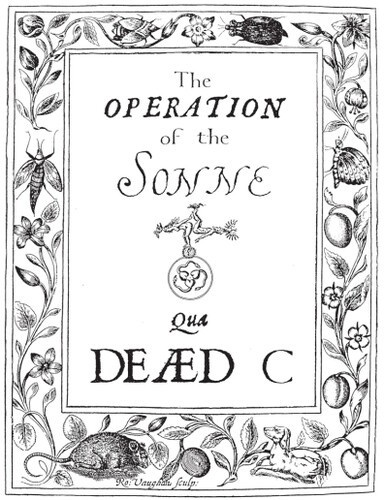 Dead C. - Operation Of The Sonne