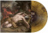 Voynich Code The - Insomnia Voynich Code The - Insomnia
