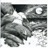 The Bluetones - The Bluetones The Bluetones - The Bluetones