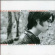 Rufus Wainwright - Poses Rufus Wainwright - Poses