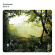 Luciano - Fabric 41 : Luciano - Fabric 41 :