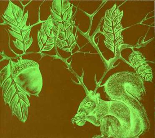 7 Year Rabbit Cycle - Ache Horns