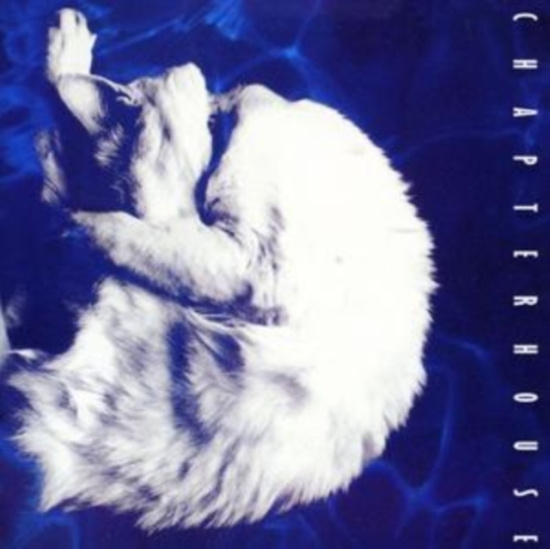 Chapterhouse - Whirlpool