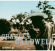 Charles Caldwell - Remember Me Charles Caldwell - Remember Me