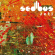 Sedibus - Seti Sedibus - Seti