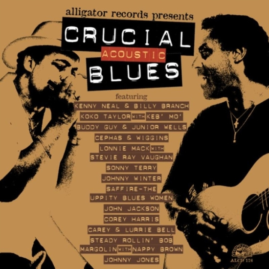 Blandade Artister - Crucial Acoustic Blues