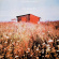 Aki Takase Trio - Song For Hope Aki Takase Trio - Song For Hope