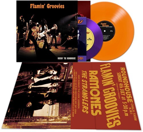 Flamin' Groovies - Rockin' The Roundhouse