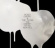 Neneh Cherry - The Cherry Thing Remixed Neneh Cherry - The Cherry Thing Remixed