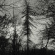Curse All Kings - Feral Earth Curse All Kings - Feral Earth