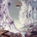 Yes - Relayer Yes - Relayer