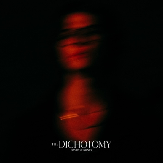 David Kushner - The Dichotomy (Vinyl)