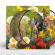 Current 93 - Swastikas For Noddy (Picture Disc V Current 93 - Swastikas For Noddy (Picture Disc V