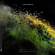 Tinlicker - This Is Not Our Universe Tinlicker - This Is Not Our Universe