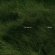 The Necks - Bleed (Indie Exclusive, Green Vinyl) The Necks - Bleed (Indie Exclusive, Green Vinyl)