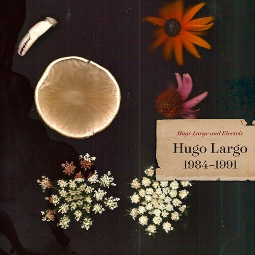 Largo Hugo - Huge, Large And Electric: Hugo Larg