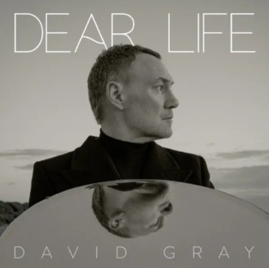 David Gray - Dear Life (Ltd Sea Weed Green Vinyl) 2LP