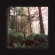 Heynderickx Haley - Seed Of A Seed (Indie Exclusive Col Heynderickx Haley - Seed Of A Seed (Indie Exclusive Col