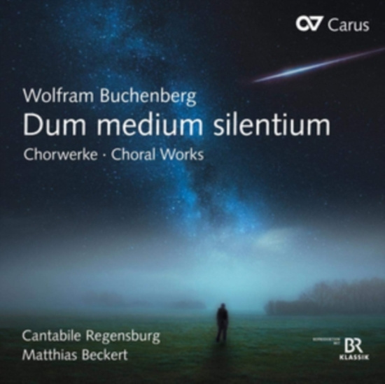 Wolfram Buchenberg - Wolfram Buchenberg - Dum Medium Sil