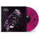 Cabal - Everything Rots (Violet Black Marbled LP) Cabal - Everything Rots (Violet Black Marbled LP)