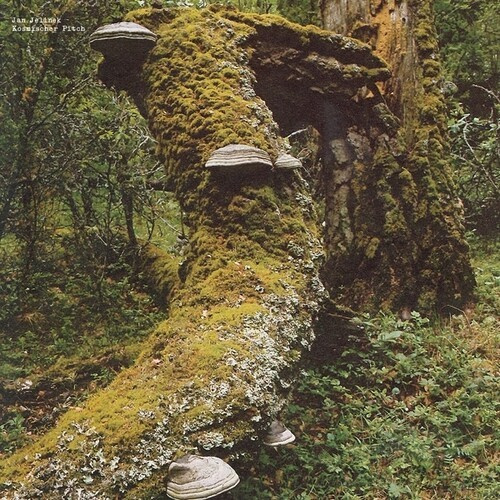 Jelinek Jan - Kosmischer Pitch (Reissue)