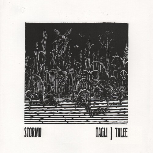 Stormo - Tagli/Talee