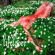 Lifelover - Pulver (Green Vinyl Lp) Lifelover - Pulver (Green Vinyl Lp)
