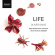 Oliver Davis - Life Oliver Davis - Life