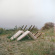 Planning For Burial - (Color) It's Closeness, It's Easy Planning For Burial - (Color) It's Closeness, It's Easy