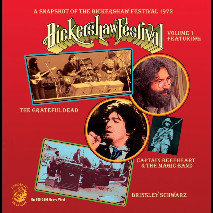 Various Artists - A Snapshot Of The Bickershaw Festiv
