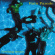 Rain Parade - Crashing Dream Revisited (Deluxe) Rain Parade - Crashing Dream Revisited (Deluxe)