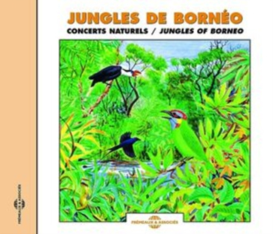 Birdsong - Birds Of The Jungles Of Borneo