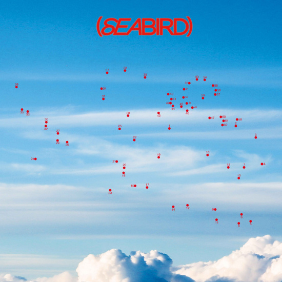 Whyb - Seabird