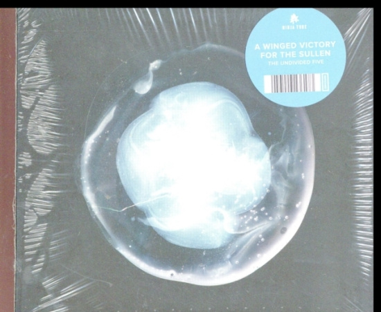 A Winged Victory For The Sullen - The Undivided Five