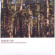 Shirley Lee - Winter Autumn Summer Spring Shirley Lee - Winter Autumn Summer Spring