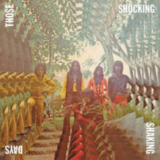 Various Artists - Those Shocking Days