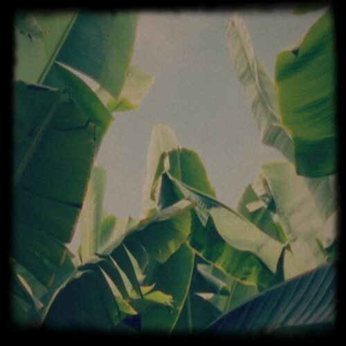 Lagoss - Plátano Tapes