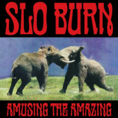 Slo Burn - Amusing The Amazing (Etcing Side B)  Rsd Bf