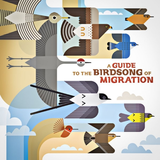Various Artists - A Guide To The Birdsong Of Migratio