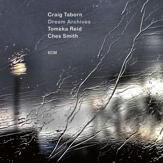 Craig Taborn - Dream Archives