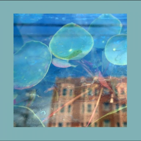 Reds Pinks & Purples The - Acknowledge Kindness