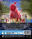 Movie - Clifford The Big Red Dog (Bd) Movie - Clifford The Big Red Dog (Bd)
