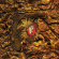 Deus - Worst Case Scenario (30Th Anniversa Deus - Worst Case Scenario (30Th Anniversa