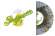 Curved Air - Phantasmagoria (Clear Splatter Viny Curved Air - Phantasmagoria (Clear Splatter Viny