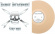 Teenage Bottlerocket - Stay Rad (Beer Coloured Vinyl Lp) Teenage Bottlerocket - Stay Rad (Beer Coloured Vinyl Lp)